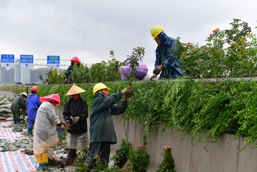 AG8Æì½¢Ìü¡¤(Öйú)¼¯ÍÅÊ×Ò³