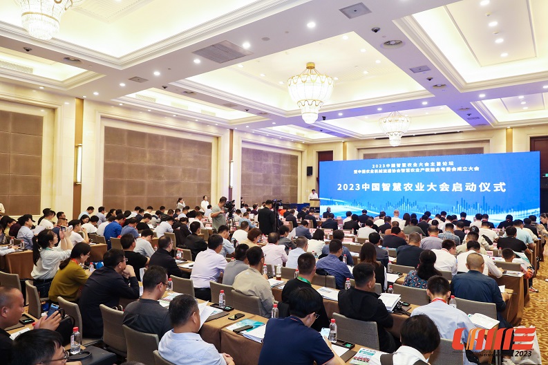 AG8�콢����(�й�)������ҳ