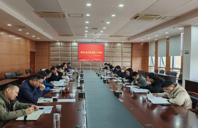 1740125361421909.jpg 04.jpg