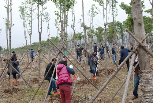 AG8旗舰厅·(中国)集团首页