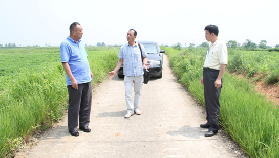 AG8�콢����(�й�)������ҳ