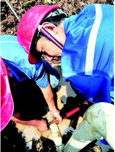 AG8�콢����(�й�)������ҳ