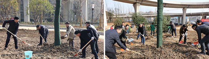 AG8�콢����(�й�)������ҳ