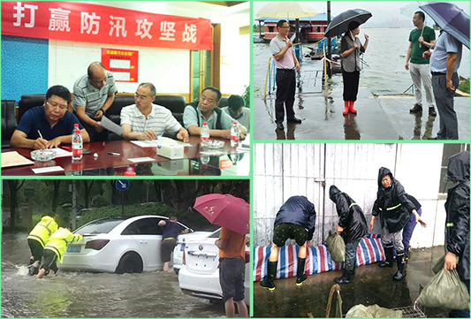 AG8�콢����(�й�)������ҳ