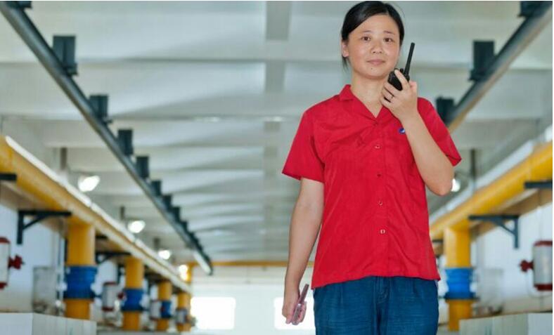 AG8�콢����(�й�)������ҳ