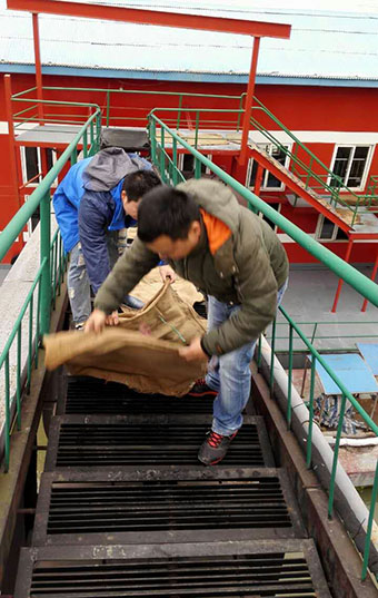 AG8�콢����(�й�)������ҳ