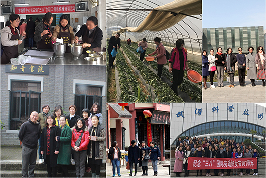 AG8�콢����(�й�)������ҳ