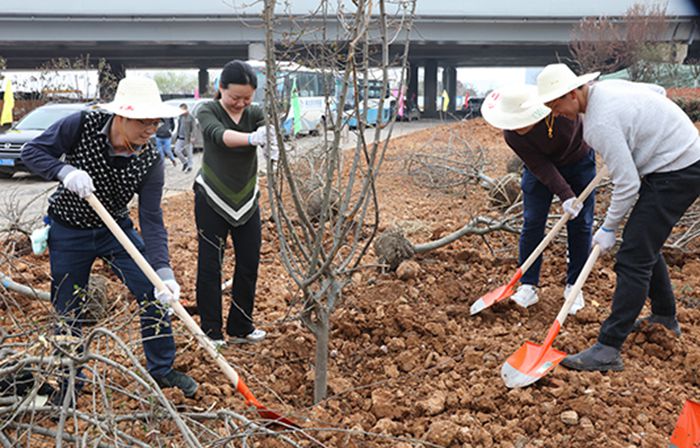 AG8�콢����(�й�)������ҳ