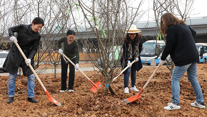 AG8�콢����(�й�)������ҳ