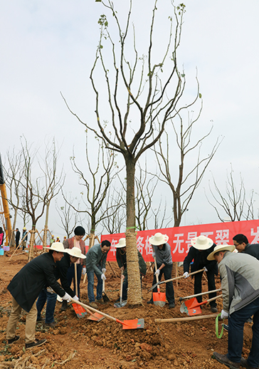 AG8�콢����(�й�)������ҳ