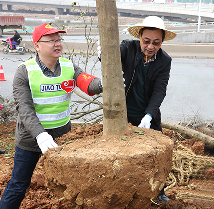 AG8�콢����(�й�)������ҳ