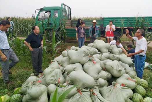 AG8旗舰厅·(中国)集团首页