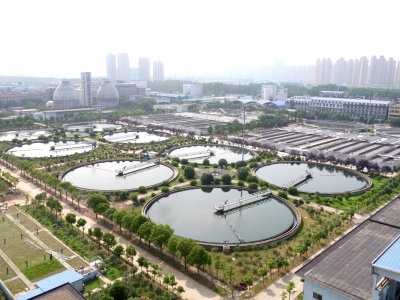 AG8Æì½¢Ìü¡¤(Öйú)¼¯ÍÅÊ×Ò³