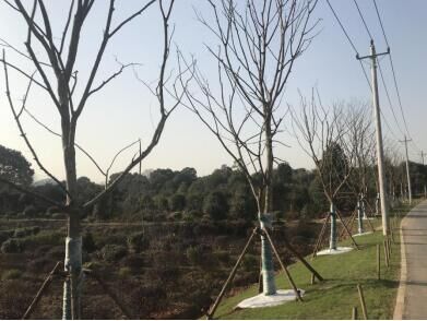 AG8�콢����(�й�)������ҳ