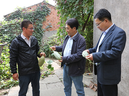 AG8�콢����(�й�)������ҳ