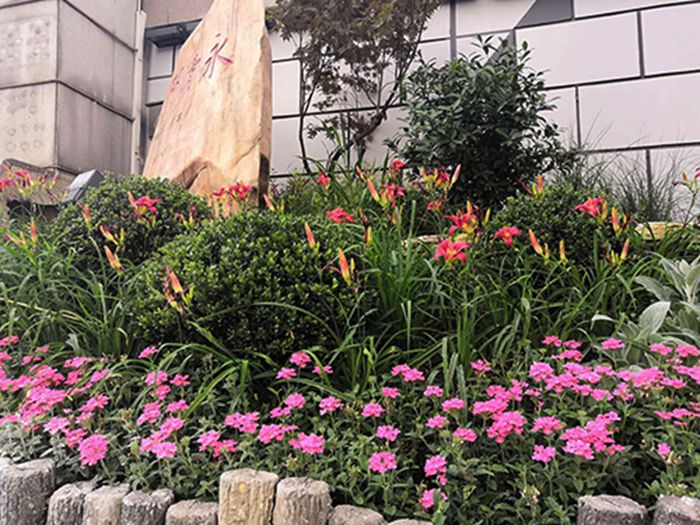 AG8�콢����(�й�)������ҳ