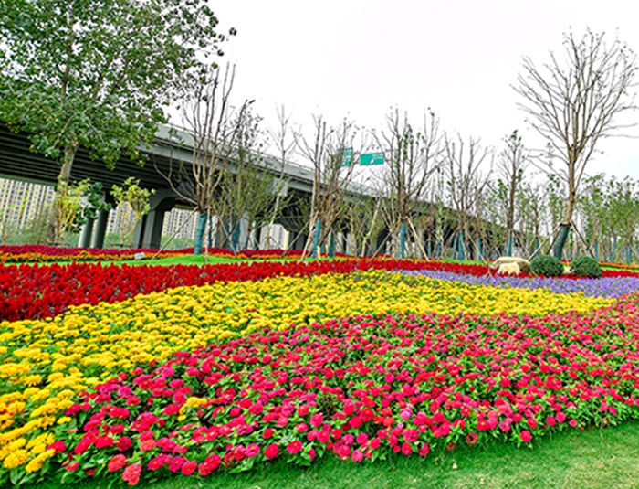 AG8�콢����(�й�)������ҳ